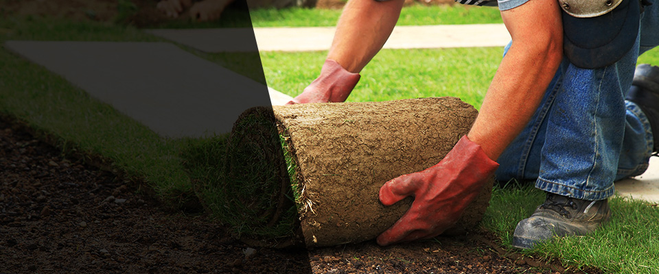 Chiefland Landscapers